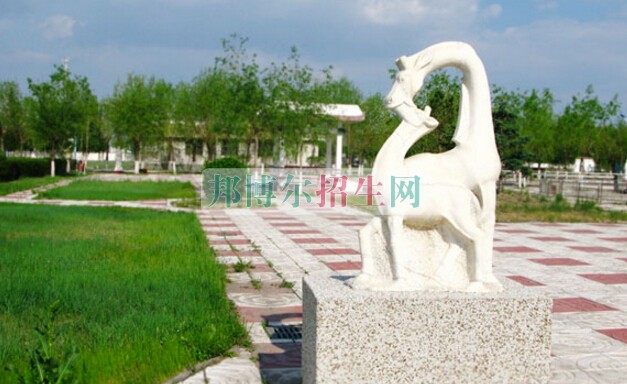 大慶醫(yī)學(xué)高等?？茖W(xué)校