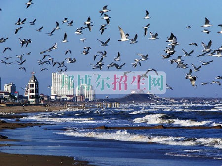石家莊城市經(jīng)濟(jì)職業(yè)學(xué)院學(xué)費