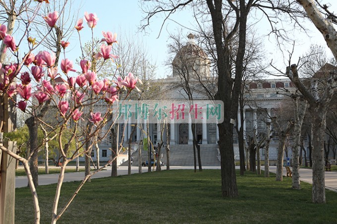 山東圣翰財貿職業(yè)學院網(wǎng)站網(wǎng)址