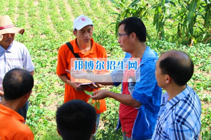 貴州師范大學求是學院領導攜專家一行看望慰問學院赴德江暑期“三下鄉(xiāng)”服務隊