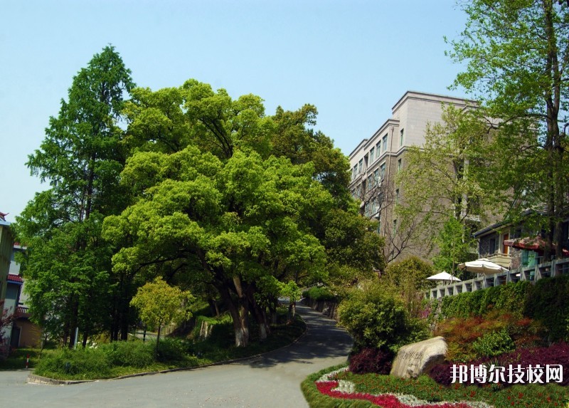 中國美術(shù)學(xué)院附屬中等美術(shù)學(xué)校2020年報名條件、招生要求、招生對象
