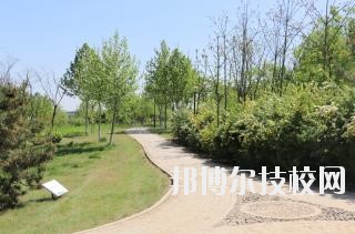石家莊中英航空中等專業(yè)學(xué)校2020年報名條件、招生要求、招生對象