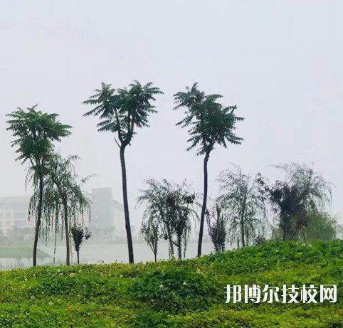 甘肅財貿(mào)職業(yè)學院2020年學費、收費多少
