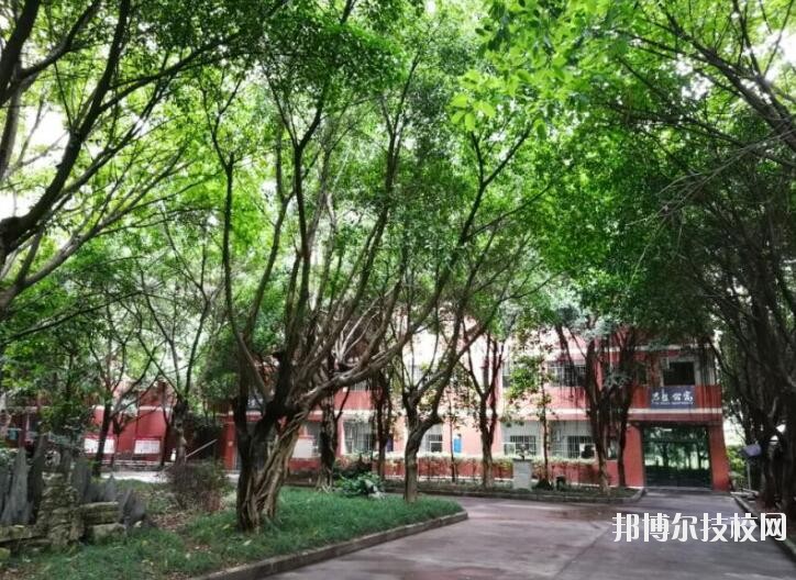 重慶舞蹈學(xué)校2020年報名條件、招生要求、招生對象