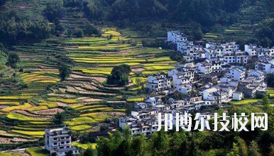 江西婺源茶葉學(xué)校2020年報(bào)名條件、招生要求、招生對(duì)象