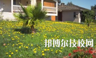 同學(xué)們需要依據(jù)自己所了解的情況來選擇學(xué)校，那么這也決定看同學(xué)們需要去了解這些學(xué)校的招生簡章，以便可以清楚的了解學(xué)校信息。下面就由小編給同學(xué)們介紹的有關(guān)于蘭州園藝學(xué)校招生簡章以及相關(guān)情況，以供大家參考了解。  蘭州園藝學(xué)校層次：中專  蘭州園藝學(xué)校性質(zhì)：公辦  蘭州園藝學(xué)校地址：蘭州市西固區(qū)范家坪  蘭州園藝學(xué)校介紹 蘭州園藝學(xué)校是全省唯一一所園藝、設(shè)施園藝、園林花卉、生態(tài)環(huán)境保護(hù)、建筑裝飾、旅游服務(wù)管理、計(jì)算機(jī)網(wǎng)絡(luò)技術(shù)、古建筑油漆彩畫等專業(yè)為一體的國辦全日制普通中等專業(yè)學(xué)校。  學(xué)校地處全省政治經(jīng)濟(jì)文化中心蘭州市,占地面積8萬平方米。有各類教學(xué)實(shí)驗(yàn)室14個(gè)，擁有圖書館、閱覽室、組培室、微機(jī)室、語音室、電教室、校園網(wǎng)等各類教學(xué)設(shè)施。校園環(huán)境幽靜、空氣清新、規(guī)劃科學(xué)、設(shè)計(jì)獨(dú)特。校園內(nèi)溫?zé)釒Щɑ芷贩N齊全，三季有花，四季常青，教學(xué)生活設(shè)施齊全，師資力量雄厚校風(fēng)優(yōu)良。學(xué)校在珠海、深圳、上海、昆明、蘭州和平牡丹園等地有多處實(shí)習(xí)基地。學(xué)校以獨(dú)特的專業(yè)設(shè)置，超長的市場預(yù)測和嚴(yán)格的管理，為社會(huì)培養(yǎng)了大批實(shí)用型中等專業(yè)人才，畢業(yè)生就業(yè)面積廣，就業(yè)率高。  了解了蘭州園藝學(xué)校的信息后，就知道簡章也是可以用來選擇學(xué)校的。以上就是小編給大家整理的蘭州園藝學(xué)校招生簡章，想要了解更多有關(guān)于學(xué)校信息的同學(xué)們是可以直接咨詢了解邦博爾相關(guān)網(wǎng)站。