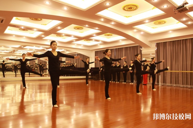 滄州職業(yè)技術(shù)學(xué)院2020年報名條件、招生要求、招生對象
