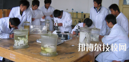 臨夏農(nóng)業(yè)學(xué)校2020年學(xué)費(fèi)、收費(fèi)多少