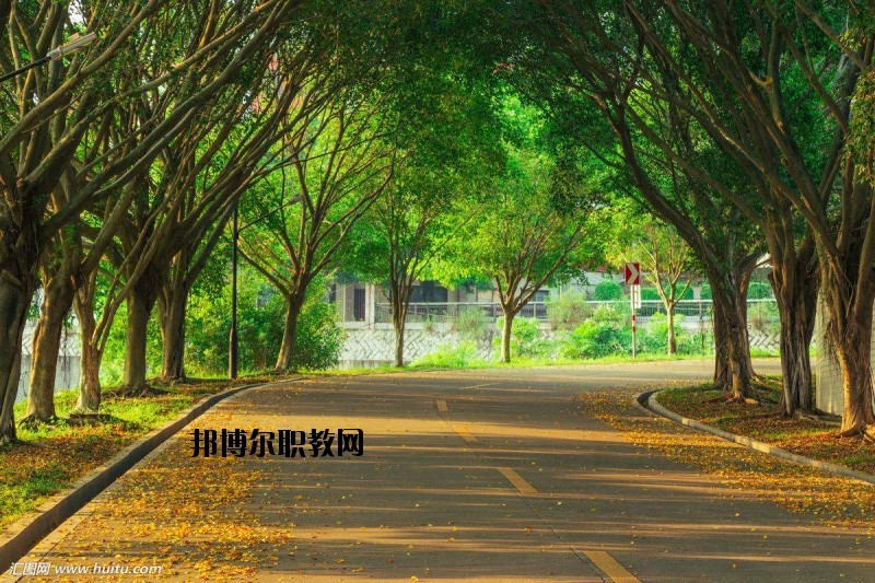 仙桃金園職業(yè)高級中學(xué)2020年報名條件、招生要求、招生對象