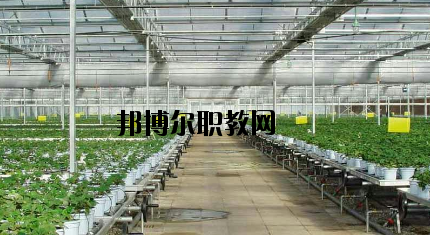 隴南農(nóng)業(yè)學(xué)校怎么樣、好不好