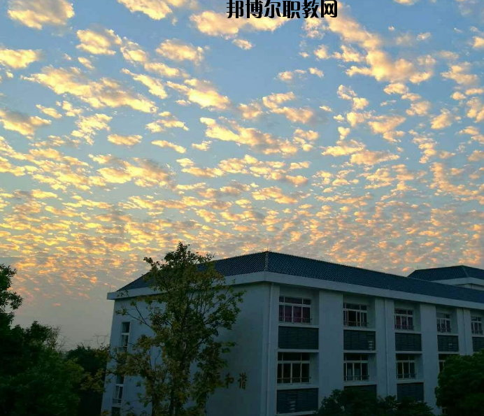 鄭州青年職業(yè)中等專業(yè)學校網(wǎng)站網(wǎng)址