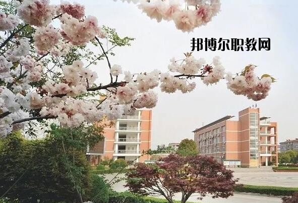 桐鄉(xiāng)衛(wèi)生學校2020年報名條件、招生要求、招生對象