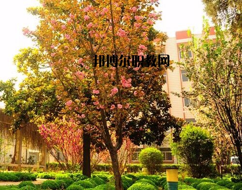 新鄉(xiāng)工業(yè)學(xué)校2021年報(bào)名條件、招生對象