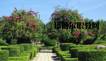 甘南畜牧學(xué)校怎么樣、好不好