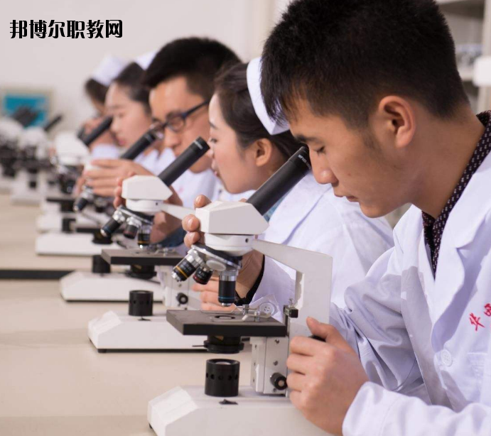 焦作護(hù)理學(xué)校怎么樣、好不好