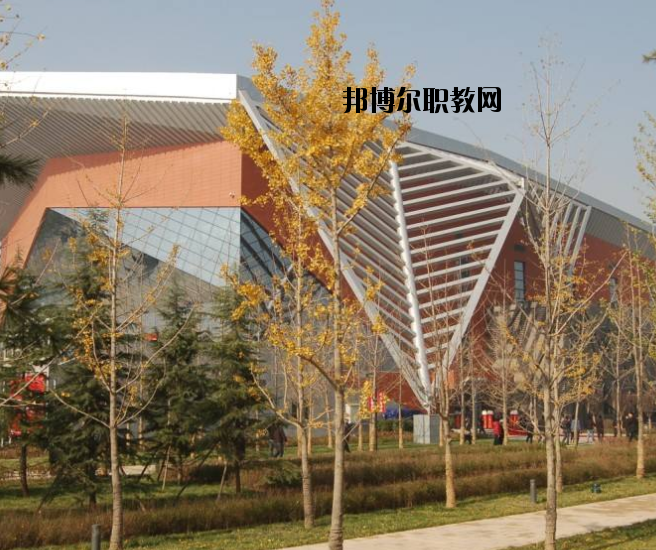 宜昌體育運(yùn)動(dòng)學(xué)校怎么樣、好不好