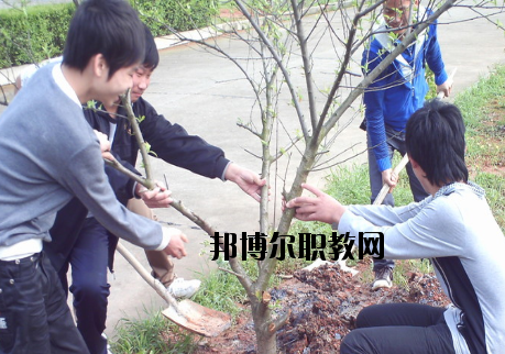 江西長(zhǎng)江理工專(zhuān)修學(xué)院2020年報(bào)名條件、招生要求、招生對(duì)象