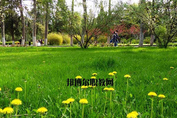 雙江縣職教中心2020年報(bào)名條件、招生要求、招生對(duì)象
