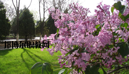 金川公司技工學(xué)校2020年報(bào)名條件、招生要求、招生對(duì)象