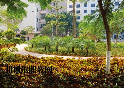 湛江技師學(xué)院怎么樣、好不好