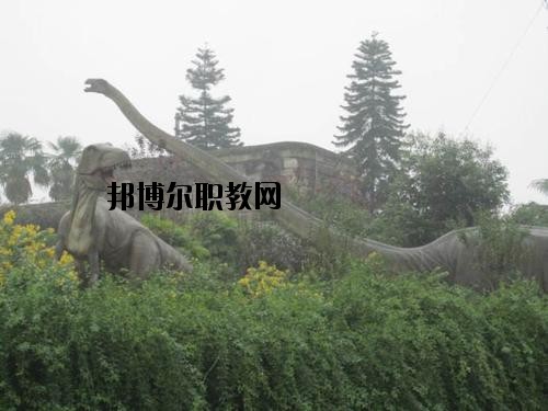 自貢三星職業(yè)技術(shù)學(xué)校2020年報名條件、招生要求、招生對象