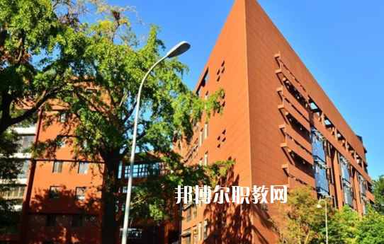 湛江湛港職業(yè)技術(shù)學(xué)校2020年報(bào)名條件、招生要求、招生對象