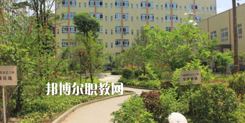 道真中等職業(yè)學(xué)校2020年報(bào)名條件、招生要求、招生對(duì)象