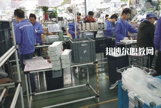 遂溪縣職業(yè)技術(shù)學(xué)校2020年報(bào)名條件、招生要求、招生對象