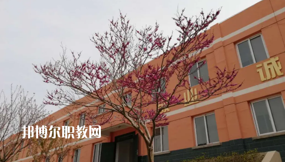 成縣化埡農(nóng)職業(yè)中學(xué)怎么樣、好不好