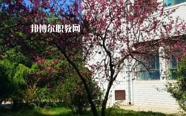 西峰北辰職業(yè)技術(shù)學校2020年招生辦聯(lián)系電話