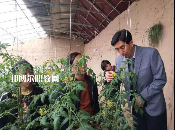 甘肅省臨夏州職業(yè)技術(shù)學(xué)校2022年學(xué)費(fèi)、收費(fèi)多少
