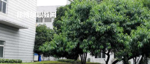 成都市中山職業(yè)技術(shù)學(xué)校2022年報(bào)名條件、招生要求、招生對(duì)象
