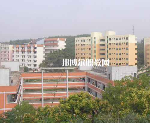 重慶貿易中等職業(yè)學校2022年報名條件、招生要求、招生對象