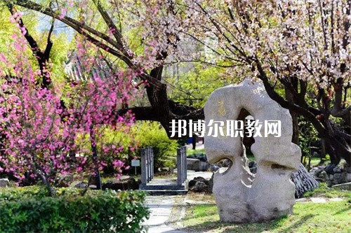徐州生物工程職業(yè)技術(shù)學(xué)院中專部2022年學(xué)費(fèi)、收費(fèi)多少