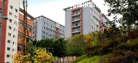 四川市綿竹職業(yè)中專學(xué)校2022年報(bào)名條件、招生要求、招生對(duì)象