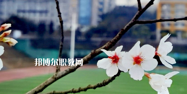 2023眉山技師學(xué)院招生計劃 招生人數(shù)是多少(附要求、條件、對象)