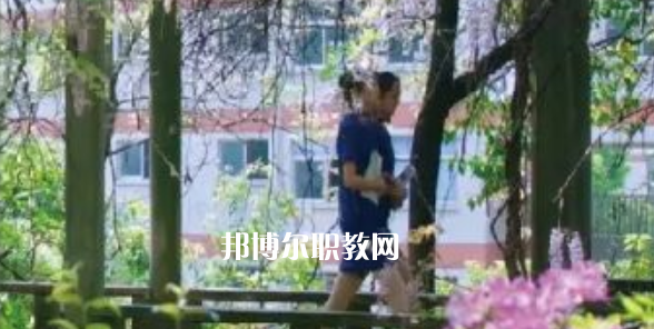 2023金華市成功學(xué)校招生計(jì)劃 招生人數(shù)是多少(附要求、條件、對(duì)象)