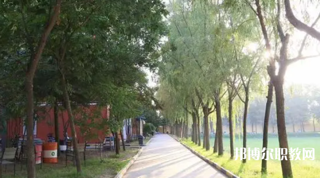 2023西安大中科技技工學(xué)校招生計(jì)劃 招生人數(shù)是多少(附要求、條件、對象)