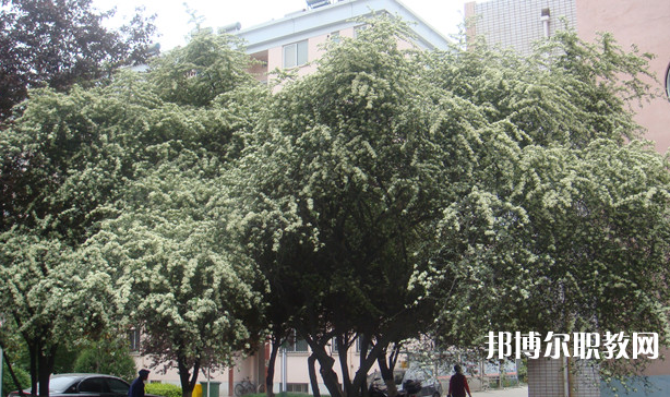 寶雞技師學(xué)院地址，乘車(chē)路線