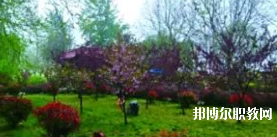 2023隆堯縣職業(yè)技術(shù)教育中心招生計(jì)劃 招生人數(shù)是多少(附要求、條件、對(duì)象)