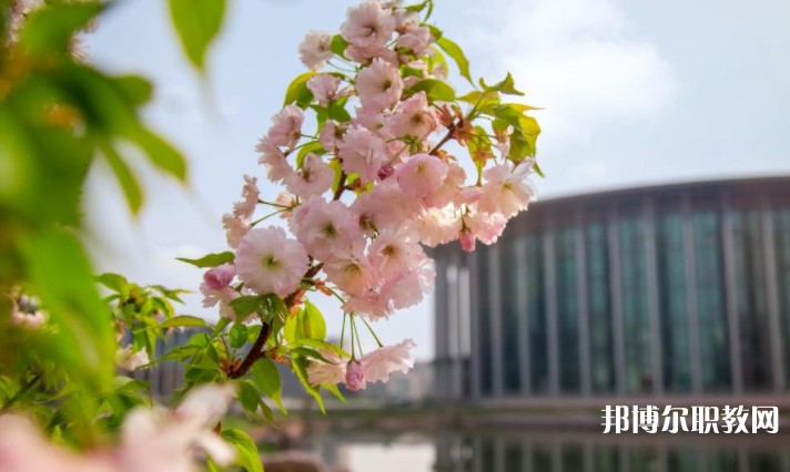 河南藝術(shù)職業(yè)學(xué)院中專部怎么樣、好不好