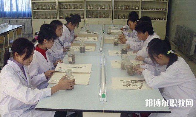 沈陽市中醫(yī)藥學校怎么樣、好不好