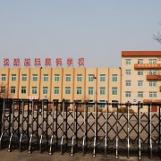 沈陽國(guó)際商務(wù)學(xué)校