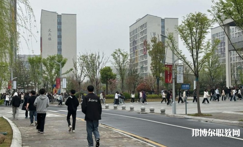 2025合肥技師學(xué)院招生計(jì)劃 招生人數(shù)是多少(附要求、條件、對(duì)象)